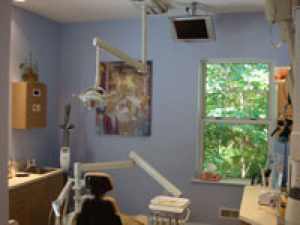 Our dental office at Northwood Dental with a dental chair, artwork, and window showing greenery outside.